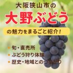 大阪狭山市の名物「大野ぶどう」とは？地元で愛される絶品フルーツの魅力を徹底解説！
