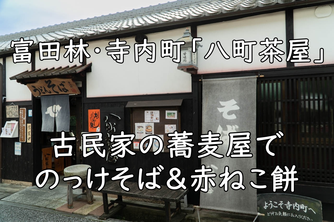 富田林・寺内町「八町茶屋」｜古民家の蕎麦屋でのっけそば＆赤ねこ餅