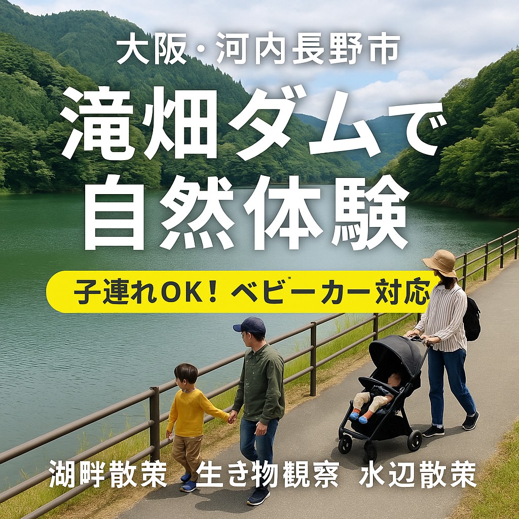 【地元ママ推薦】滝畑ダムで水辺ピクニック!ベビーカー&子連れでも楽しめる自然スポット
