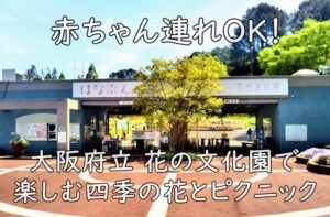 赤ちゃん連れOK！大阪府立 花の文化園で楽しむ四季の花とピクニック