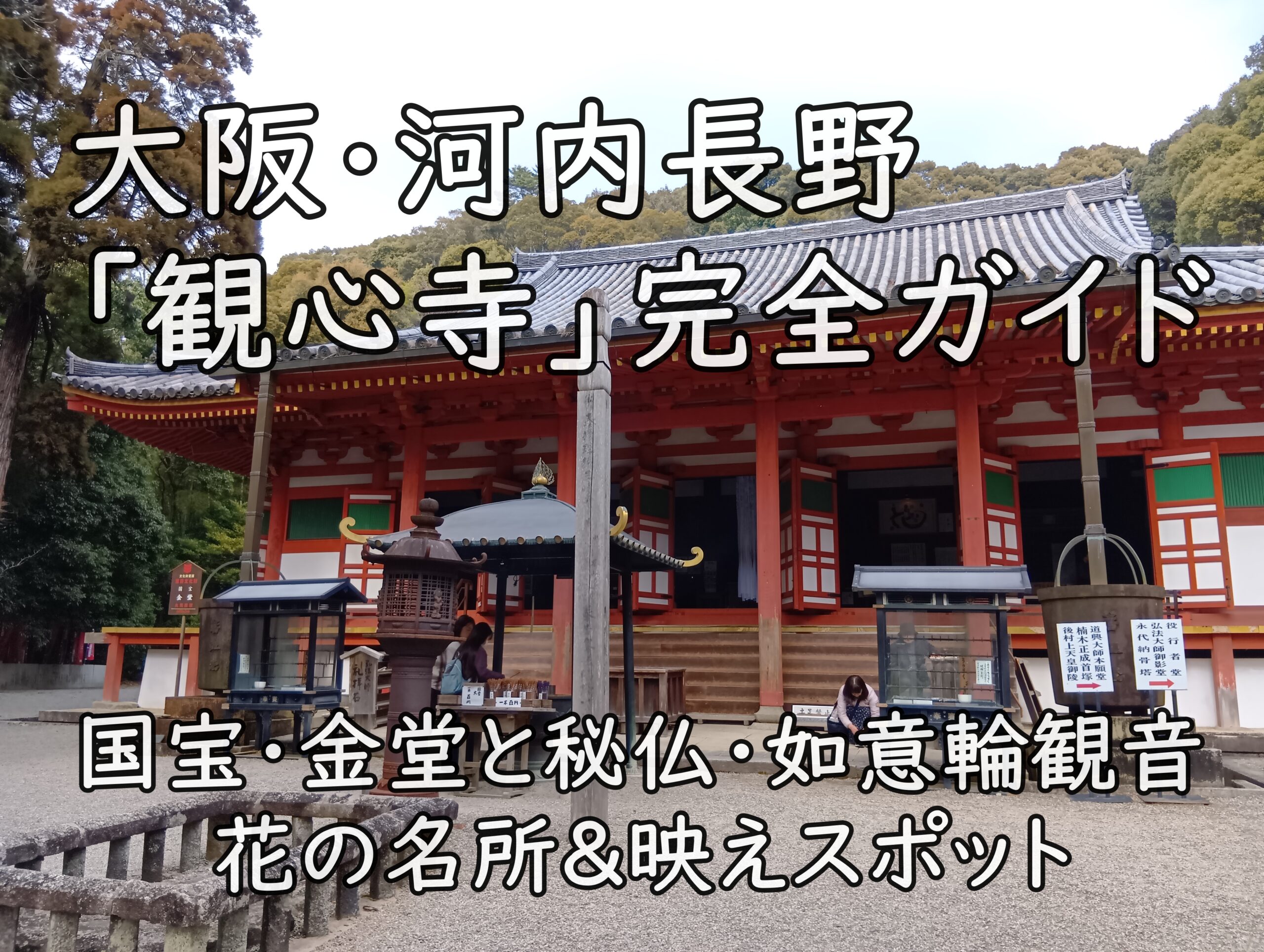 大阪・河内長野「観心寺」完全ガイド｜国宝・金堂と秘仏・如意輪観音、花の名所&映えスポット
