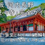 大阪・河内長野「観心寺」完全ガイド｜国宝・金堂と秘仏・如意輪観音、花の名所&映えスポット