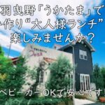 ベビーカーOKで安心です！羽曳野「うかたま」で手作り“大人様ランチ”を楽しみませんか？