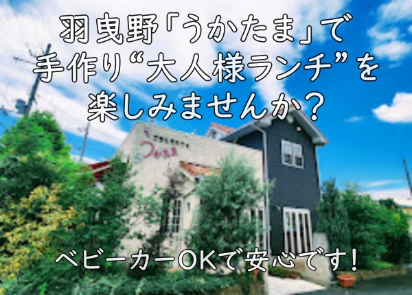 ベビーカーOKで安心です！羽曳野「うかたま」で手作り“大人様ランチ”を楽しみませんか？