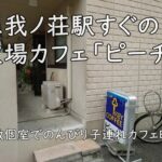 恵我ノ荘駅すぐの穴場カフェ「ピーチ」——座敷個室でのんびりおもちゃのある子連れカフェ時間