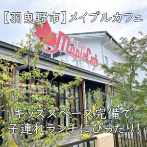 【羽曳野市】メイプルカフェ|キッズスペース完備で子連れランチにぴったり!