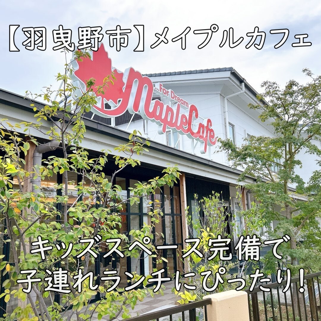 【羽曳野市】メイプルカフェ|キッズスペース完備で子連れランチにぴったり!