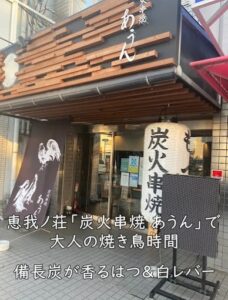 備長炭が香るはつ&白レバー—恵我ノ荘「炭火串焼 あうん」で大人の焼き鳥時間