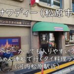 サワディー（松原市）｜ベビーカーでも入りやすい？赤ちゃん連れで行くタイ料理ランチ（河内松原駅近）