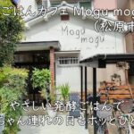 糀ごはんカフェ Mogu mogu（松原市）｜やさしい発酵ごはんで、赤ちゃん連れの日もホッとひと息