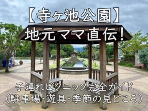 【寺ヶ池公園】地元ママ直伝！子連れピクニック完全ガイド（駐車場・遊具・季節の見どころ）