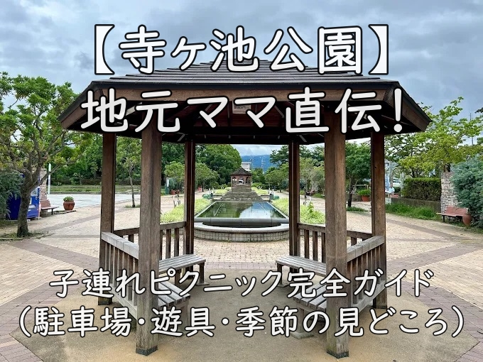 【寺ヶ池公園】地元ママ直伝！子連れピクニック完全ガイド（駐車場・遊具・季節の見どころ）