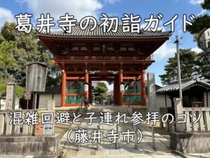 葛井寺の初詣ガイド｜混雑回避と子連れ参拝のコツ（藤井寺市）