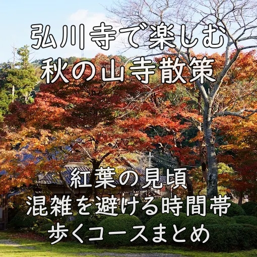 弘川寺で楽しむ秋の山寺散策｜紅葉の見頃・混雑を避ける時間帯・歩くコースまとめ