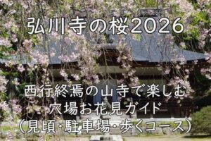 弘川寺の桜2026｜西行終焉の山寺で楽しむ穴場お花見ガイド（見頃・駐車場・歩くコース）