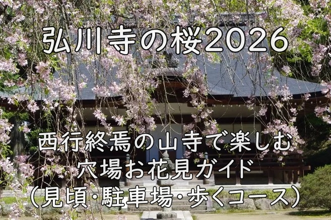 弘川寺の桜2026｜西行終焉の山寺で楽しむ穴場お花見ガイド（見頃・駐車場・歩くコース）
