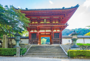 金剛寺アクセス完全版|駐車場ルート・バス停・徒歩ルートをくわしく解説