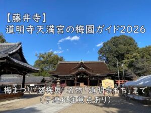 【藤井寺】道明寺天満宮の梅園ガイド2026｜梅まつり・盆梅展・名物「道明寺もち」まで（子連れ注意点あり）