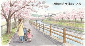 西除川遊歩道エリアの桜｜ベビーカー散歩はここ！天美西公園〜市民運動広場の歩き方（松原）