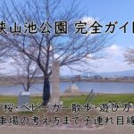 狭山池公園 完全ガイド｜桜・ベビーカー散歩・遊び方・駐車場の考え方まで子連れ目線で