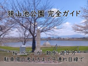 狭山池公園 完全ガイド｜桜・ベビーカー散歩・遊び方・駐車場の考え方まで子連れ目線で