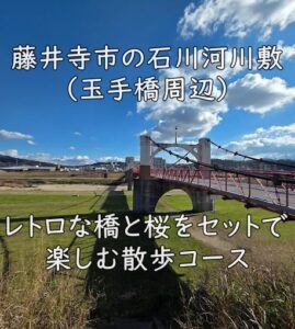 藤井寺市の石川河川敷（玉手橋周辺）｜レトロな橋と桜をセットで楽しむ散歩コース