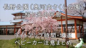 長野公園(奥河内さくら公園)桜と光の回廊|ライトアップ時間・坂道・ベビーカー注意まとめ