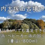 河内大塚山古墳の桜｜通りすがりでも満足できる！車派・ベビーカー派の回り方（濠沿い800m）