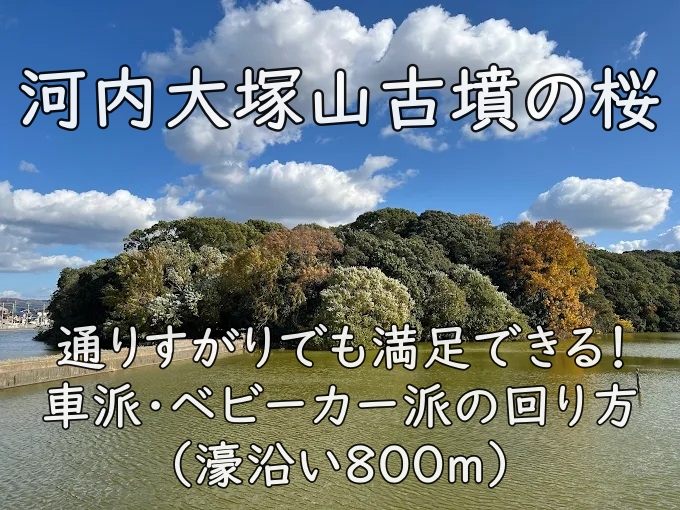 河内大塚山古墳の桜｜通りすがりでも満足できる！車派・ベビーカー派の回り方（濠沿い800m）