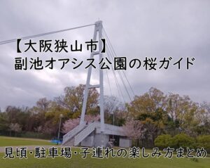 【大阪狭山市】副池オアシス公園の桜ガイド｜見頃・駐車場・子連れの楽しみ方まとめ