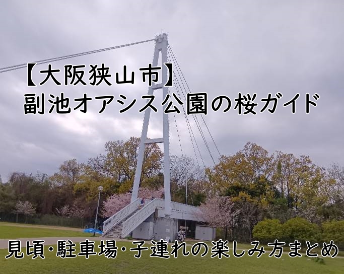 【大阪狭山市】副池オアシス公園の桜ガイド|見頃・駐車場・子連れの楽しみ方まとめ
