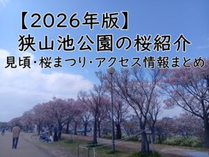 【2026年版】狭山池公園の桜紹介｜見頃・桜まつり・アクセス情報まとめ