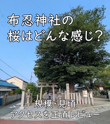 布忍神社の桜はどんな感じ？規模・見頃・アクセスを正直レビュー