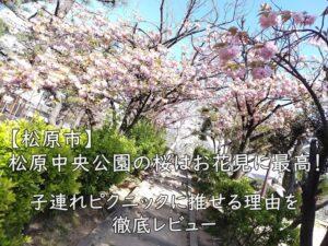 【松原市】松原中央公園の桜はお花見に最高！子連れピクニックに推せる理由を徹底レビュー