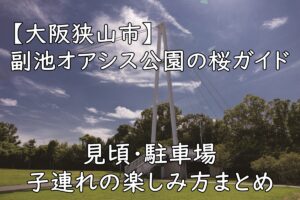【大阪狭山市】副池オアシス公園の桜ガイド｜見頃・駐車場・子連れの楽しみ方まとめ