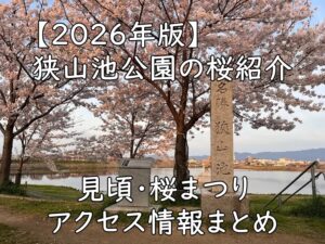 【2026年版】狭山池公園の桜紹介|見頃・桜まつり・アクセス情報まとめ