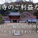 金剛寺のご利益ガイド|厄除け・心願成就・子授けで信仰される理由をわかりやすく