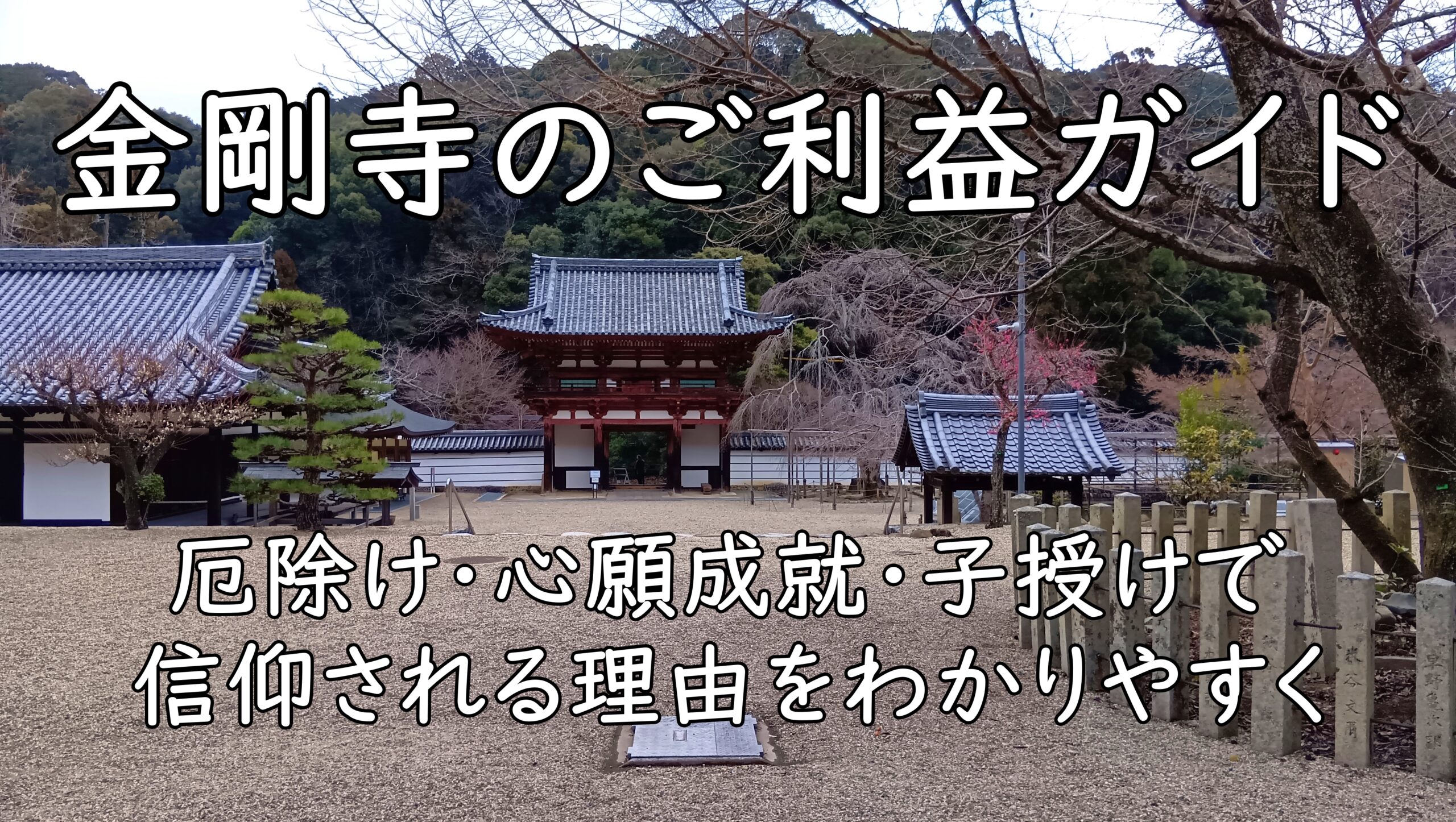 金剛寺のご利益ガイド|厄除け・心願成就・子授けで信仰される理由をわかりやすく